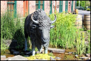 They really, really love their buffalo.