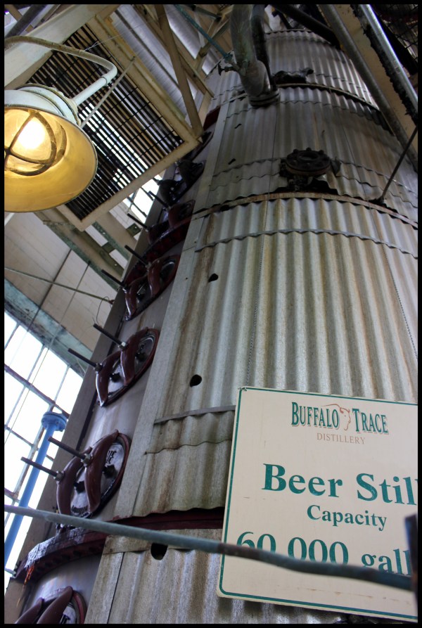 This isn't the biggest still we saw, but we didn't tell it that.