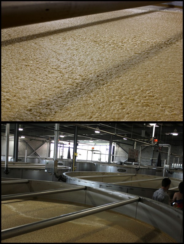 Where yeast goes to find itself.