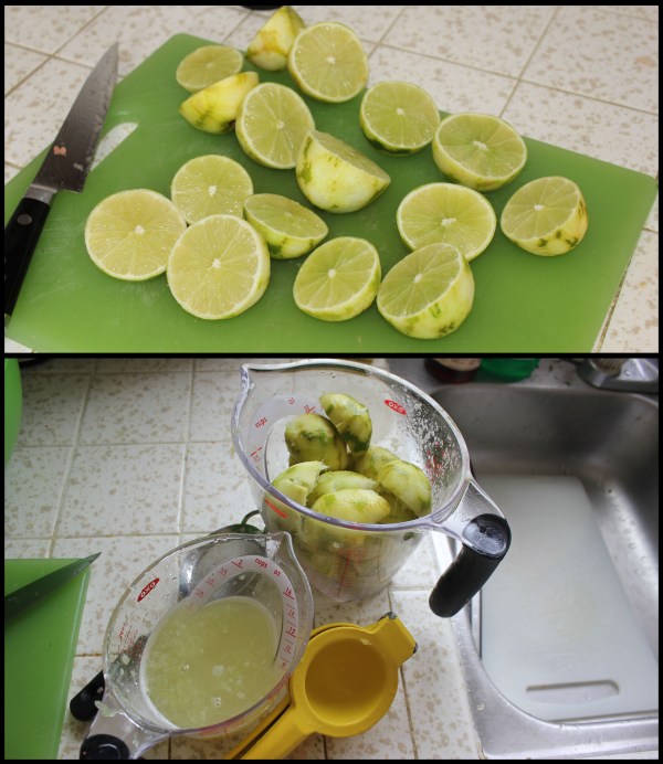 Juicing the grapefruits was too messy to picture.
