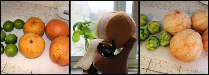 Not pictured: the well-zested knuckles on my index, middle, and pinky fingers.